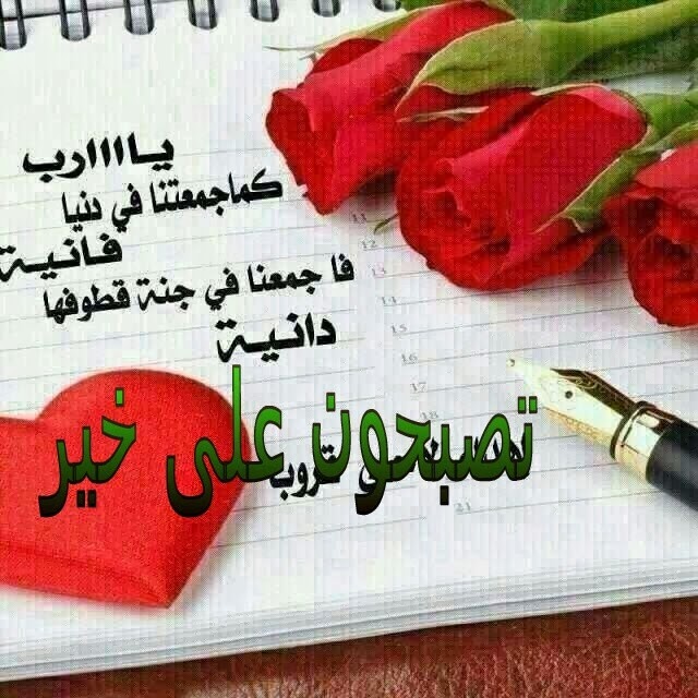 بوستات تصبحون ع خير2