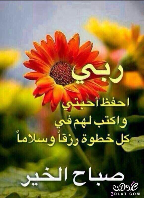 دعاء صباح جميل ١