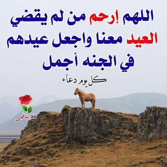 دعاء للميتة بالرحمة والمغفرة ٢