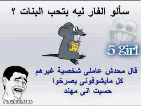 نكت عن البنات تموت من الضحك