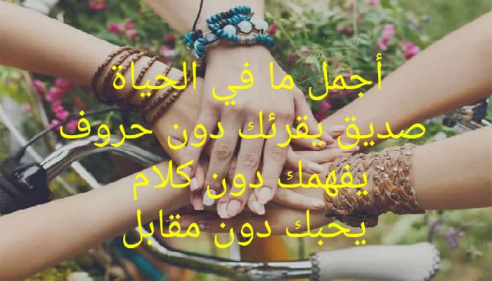 كلمات عن الصداقة الحقيقية