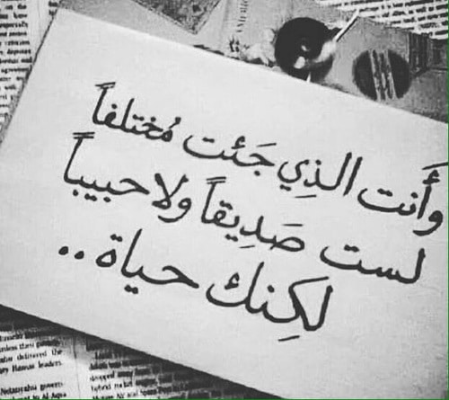 عبارات جميلة عن الحب والصداقة