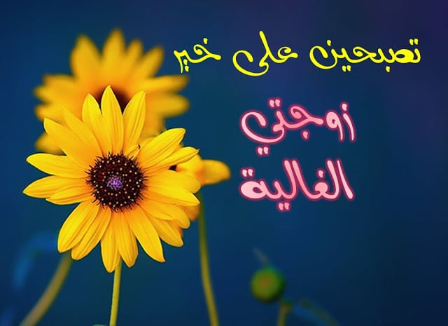 تصبح على حب  - مسجات تصبح على خير يالغالي