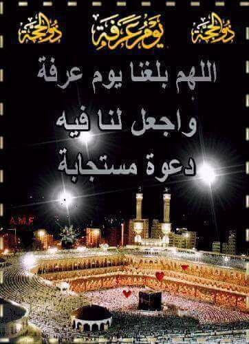 دعاء جَامِعُ ليوم عرفة ١