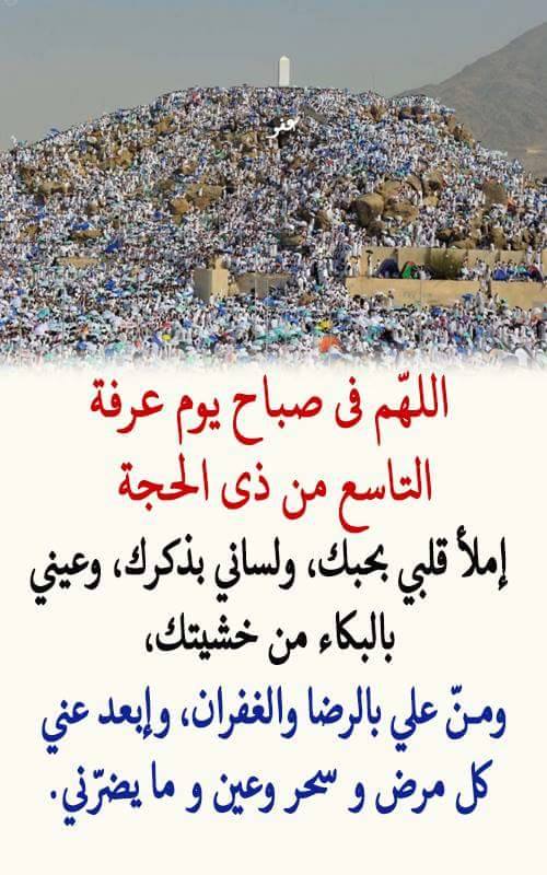 ماذا تقرأ في يوم عرفة ٢