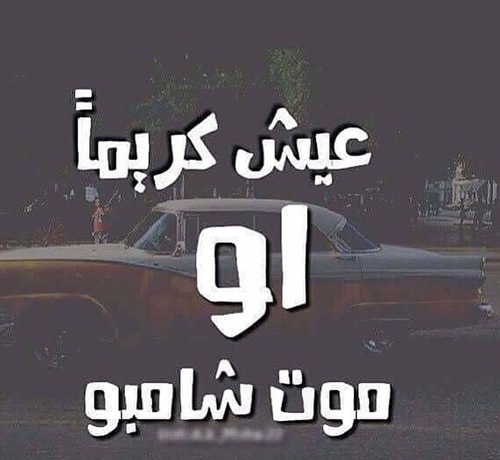 كلام مضحك جدا قصير
