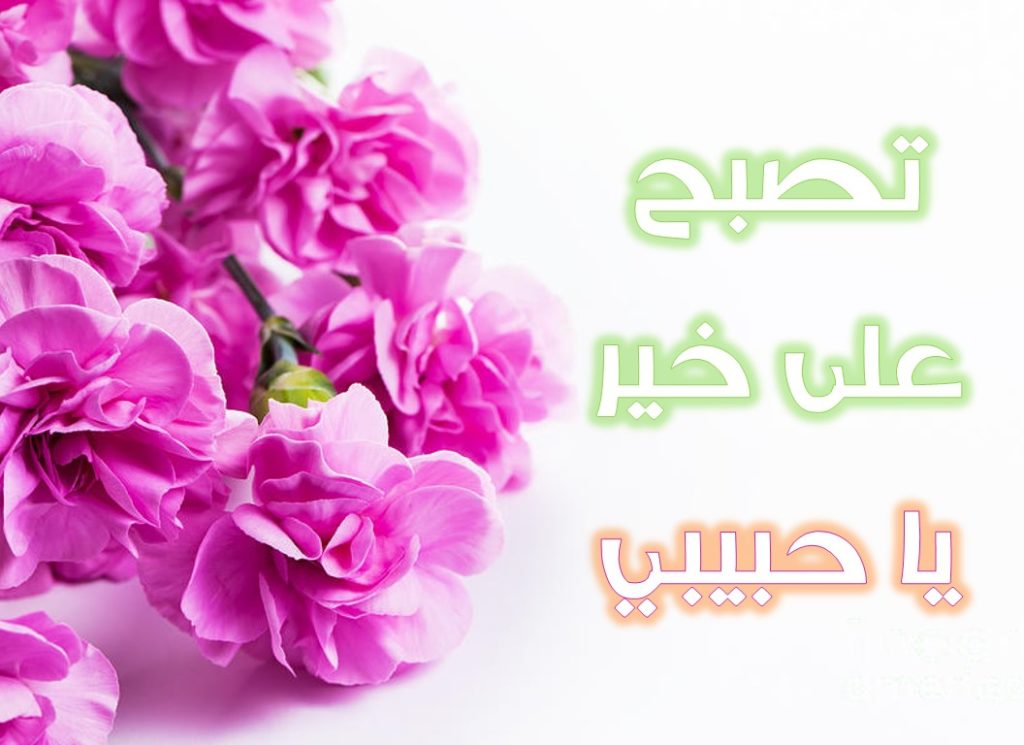 مسجات تصبح على خير يالغالي
