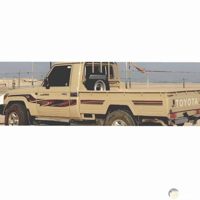 شيلات شاص ١
