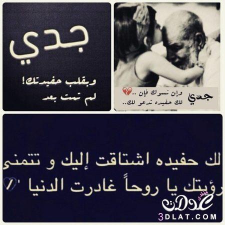 ذكرى وفاة جدي الغالي ٢