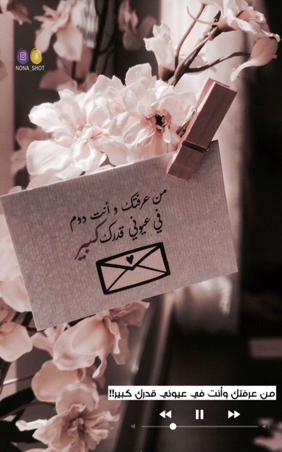 كلمات شعر صديقتي احبك