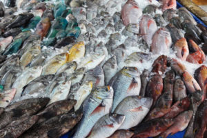 تفسير حلم رؤية السمك في المنام