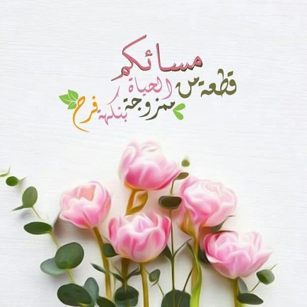 مساء الخير كلمات جميلة ٢