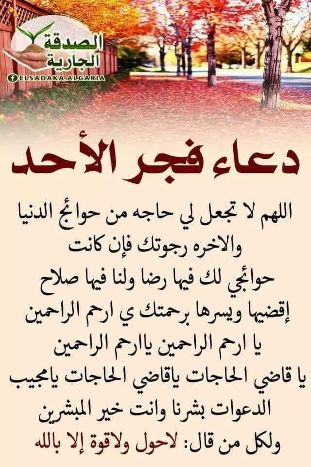 دعاء فجر الأحد ١