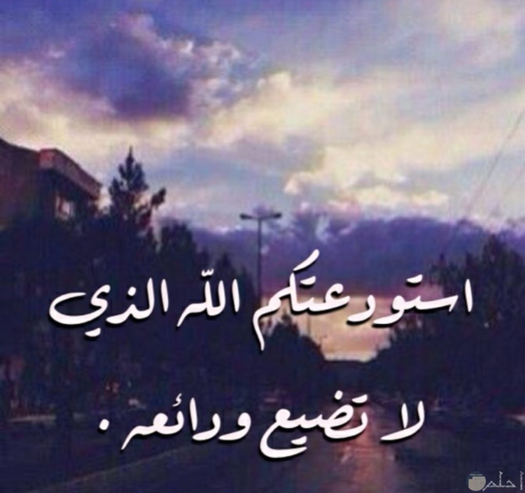 عبارات وداع الأصدقاء