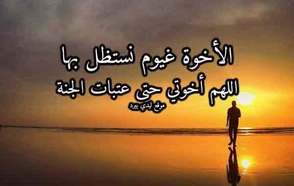 كلمات عن الأخوة الصادقة