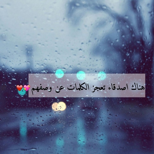 كلمات رائعة عن الصداقة
