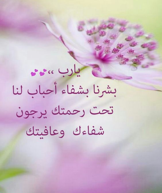 بوستات دعاء للحبيب ٢