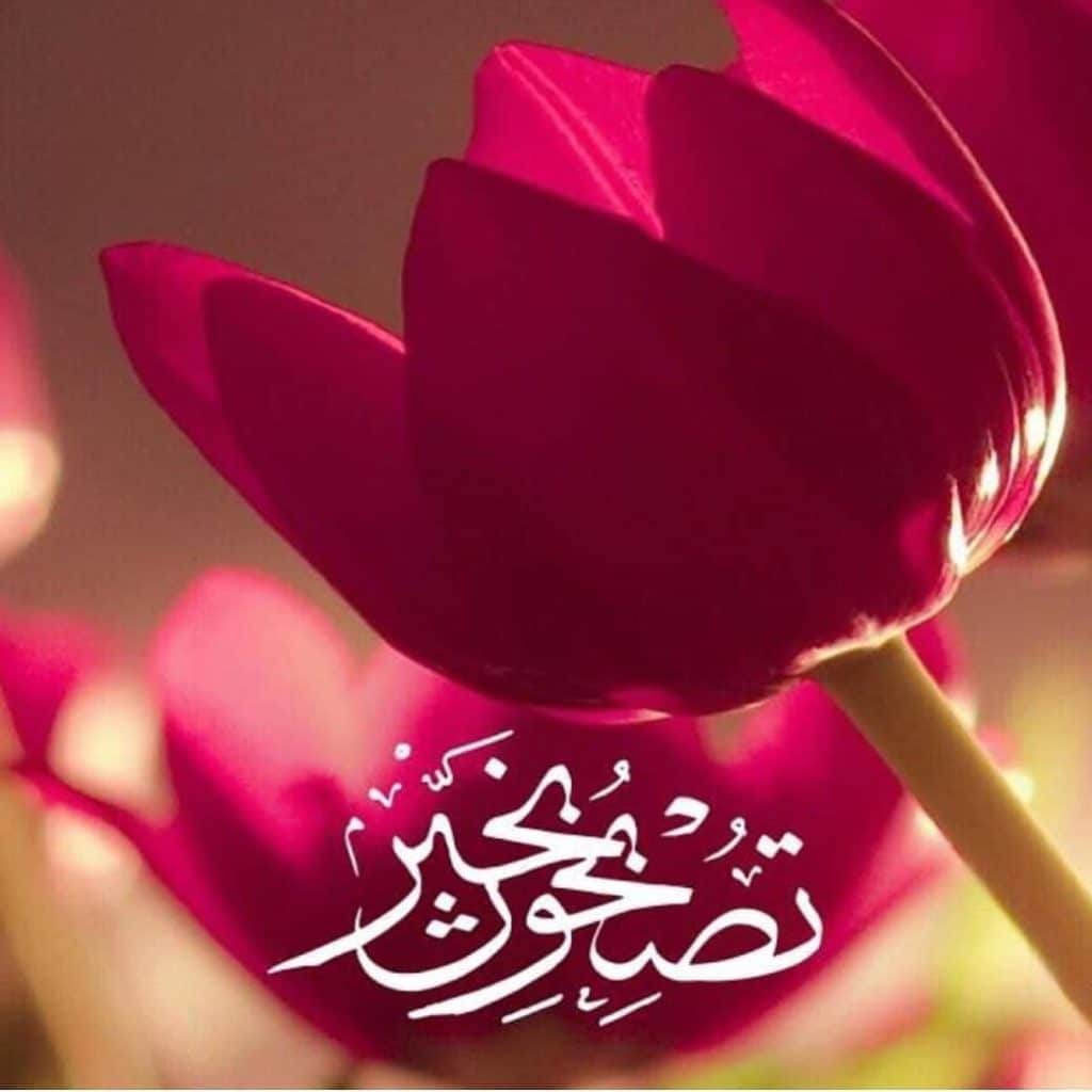 تصبحون على خير