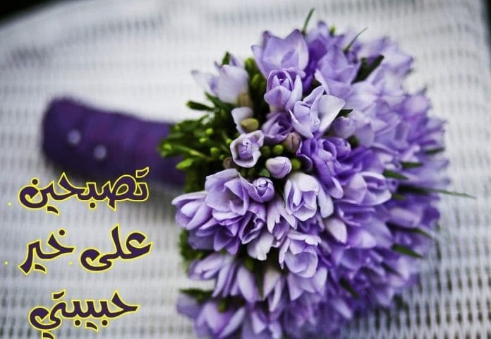 تصبحين على خير