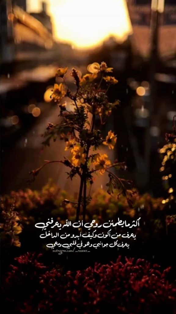 صور بنات سناب - خلفيات سناب حلوه ٣