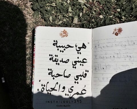 عبارات صديقتي احبك