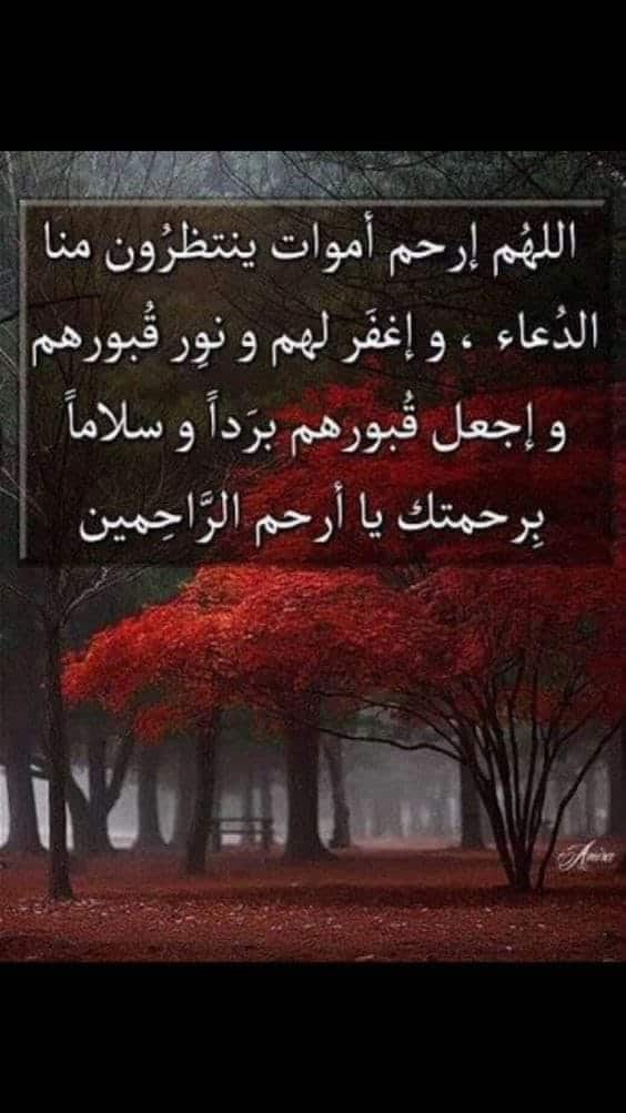 اجمل ادعية للميت - دعاء للميت قصير للواتس ٢