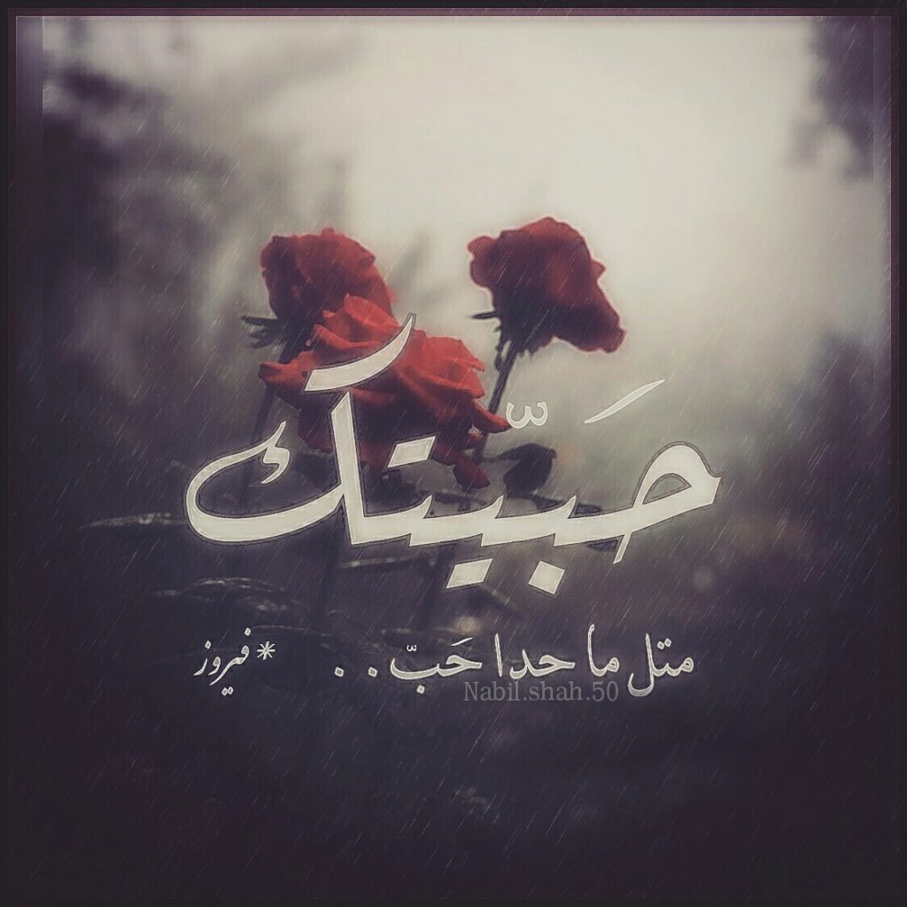 كلام في الحب للحبيب