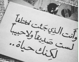 عبارات عن الصداقة