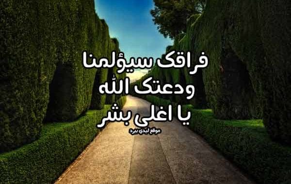 كلمات وداع للمسافر