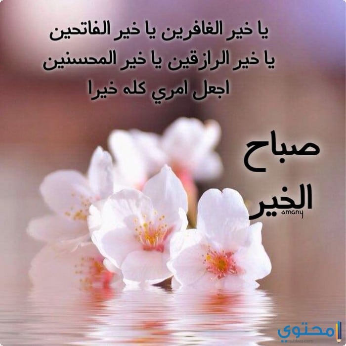 دعاء صباح قصير تويتر ١