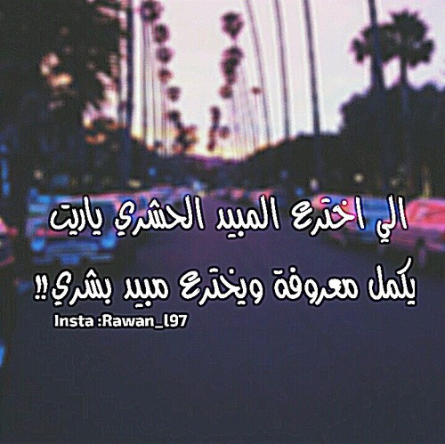 كلام مزخرف مضحك