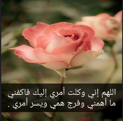 دعاء الستر المغامسي ٢