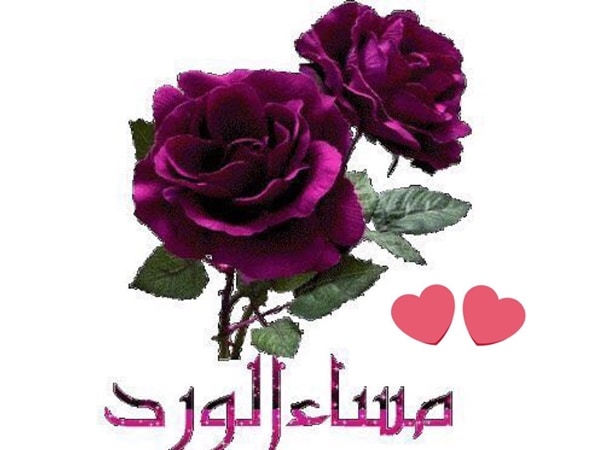 مساء الورد ٢
