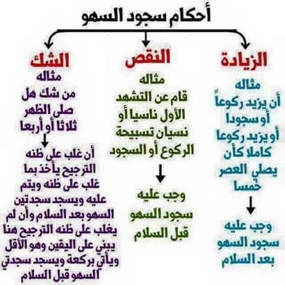 شرح سجود السهو بالتفصيل ٢