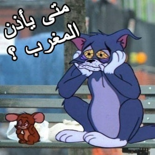 نكت توم وجيري بالعربي ٢
