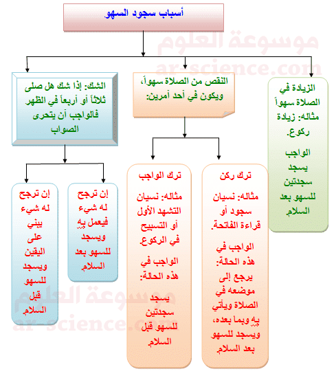 شرح سجود السهو بالتفصيل ٣
