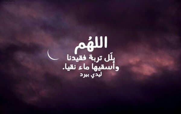 ماتت خالتي ٢