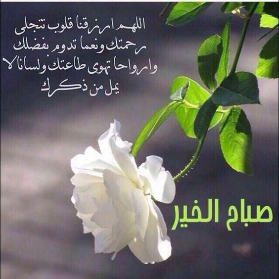 صباح الدعاء المستجاب ١