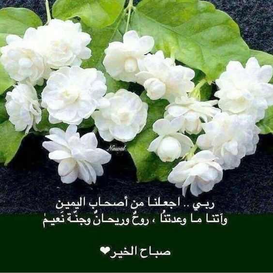 اجمل دعاء الصباح مع الصور ٥