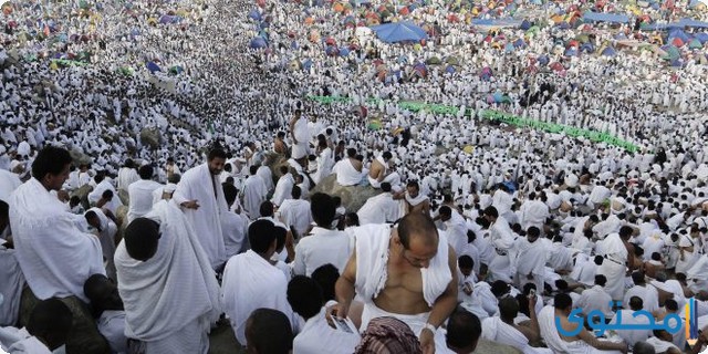 صور دعاء اللهم بلغنا يوم عرفة ٧