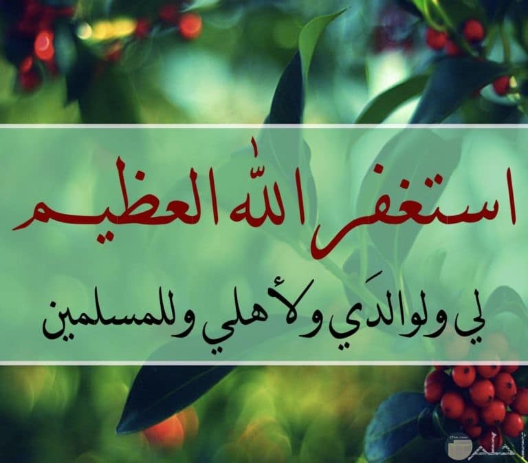 دعاء الستر المغامسي ٢
