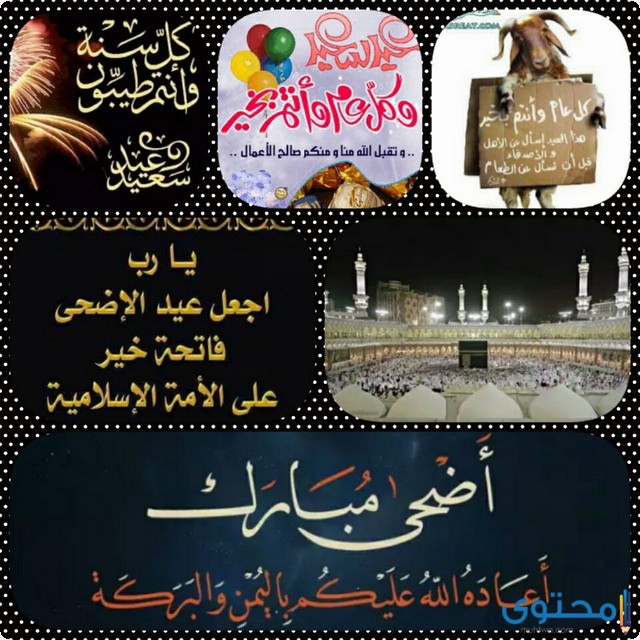 بطاقات تهنئة عيد الاضحى المبارك ٤