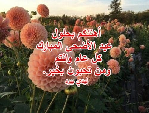تهنئة عيد الاضحى اسلامية