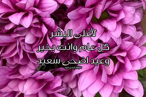 رسائل تهنئة بالعيد