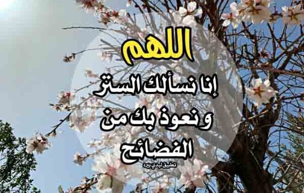 دعاء الستر من الفضيحة ٢