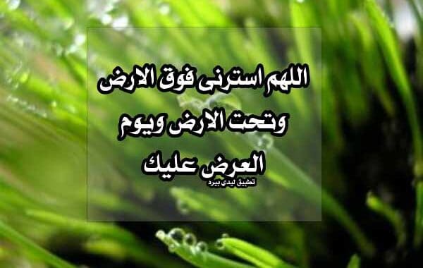 دعاء الستر والتوبة ٢