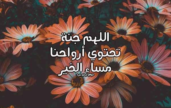 مساء الخير دعاء ١