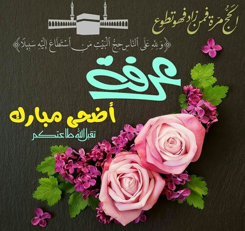 دعاء يوم عرفة لقضاء الحاجة ١