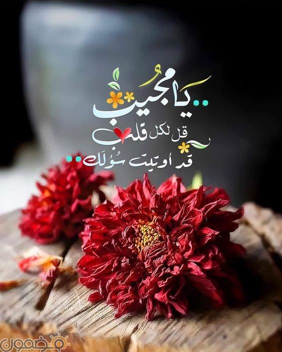 دعاء الستر من الزنا ٢