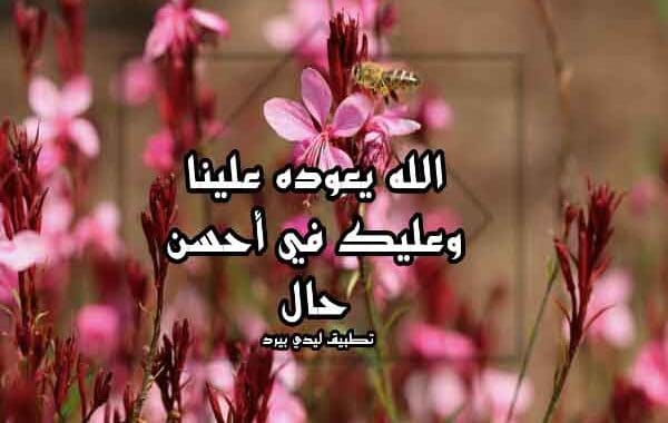 تهنئة العيد